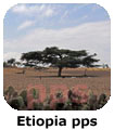 Etiopia pps